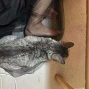 ヒメ日記 2025/05/29 10:54 投稿 あんり 北九州人妻倶楽部（三十路、四十路、五十路）