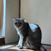 ヒメ日記 2025/05/29 11:13 投稿 あんり 北九州人妻倶楽部（三十路、四十路、五十路）