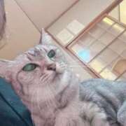 ヒメ日記 2025/05/29 11:21 投稿 あんり 北九州人妻倶楽部（三十路、四十路、五十路）