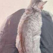 ヒメ日記 2025/05/29 12:59 投稿 あんり 北九州人妻倶楽部（三十路、四十路、五十路）