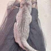 ヒメ日記 2025/05/29 13:18 投稿 あんり 北九州人妻倶楽部（三十路、四十路、五十路）