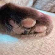 ヒメ日記 2025/05/29 16:04 投稿 あんり 北九州人妻倶楽部（三十路、四十路、五十路）