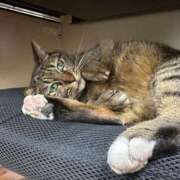 ヒメ日記 2025/05/30 08:05 投稿 あんり 北九州人妻倶楽部（三十路、四十路、五十路）