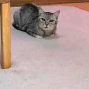 ヒメ日記 2025/05/30 12:15 投稿 あんり 北九州人妻倶楽部（三十路、四十路、五十路）