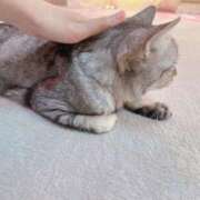 ヒメ日記 2025/05/31 08:04 投稿 あんり 北九州人妻倶楽部（三十路、四十路、五十路）