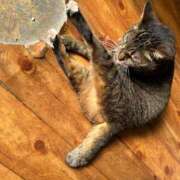 ヒメ日記 2025/05/31 09:19 投稿 あんり 北九州人妻倶楽部（三十路、四十路、五十路）