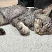 ヒメ日記 2025/05/31 13:28 投稿 あんり 北九州人妻倶楽部（三十路、四十路、五十路）