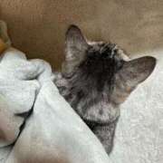 ヒメ日記 2025/06/05 13:17 投稿 あんり 北九州人妻倶楽部（三十路、四十路、五十路）