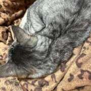 ヒメ日記 2025/06/06 09:05 投稿 あんり 北九州人妻倶楽部（三十路、四十路、五十路）