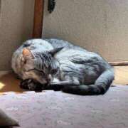 ヒメ日記 2025/06/08 08:05 投稿 あんり 北九州人妻倶楽部（三十路、四十路、五十路）