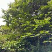 ヒメ日記 2025/06/09 12:42 投稿 あんり 北九州人妻倶楽部（三十路、四十路、五十路）