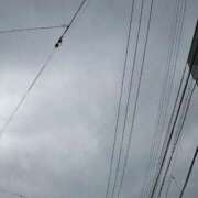 ヒメ日記 2025/06/11 16:03 投稿 あんり 北九州人妻倶楽部（三十路、四十路、五十路）