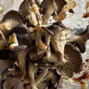 ヒメ日記 2025/06/12 08:05 投稿 あんり 北九州人妻倶楽部（三十路、四十路、五十路）