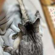 ヒメ日記 2025/06/15 06:05 投稿 あんり 北九州人妻倶楽部（三十路、四十路、五十路）