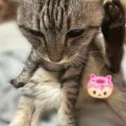 ヒメ日記 2025/06/16 08:06 投稿 あんり 北九州人妻倶楽部（三十路、四十路、五十路）