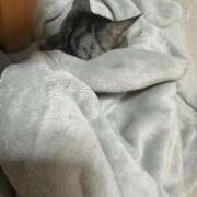 ヒメ日記 2025/06/16 18:05 投稿 あんり 北九州人妻倶楽部（三十路、四十路、五十路）