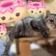 ヒメ日記 2025/06/17 06:03 投稿 あんり 北九州人妻倶楽部（三十路、四十路、五十路）