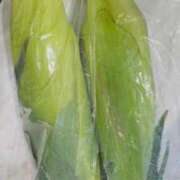 ヒメ日記 2025/06/19 08:03 投稿 あんり 北九州人妻倶楽部（三十路、四十路、五十路）