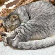 ヒメ日記 2025/06/19 15:05 投稿 あんり 北九州人妻倶楽部（三十路、四十路、五十路）