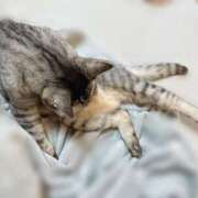 ヒメ日記 2025/06/20 07:33 投稿 あんり 北九州人妻倶楽部（三十路、四十路、五十路）