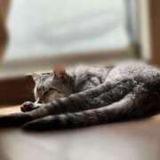 ヒメ日記 2025/06/20 10:45 投稿 あんり 北九州人妻倶楽部（三十路、四十路、五十路）