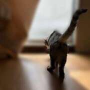 ヒメ日記 2025/06/20 11:01 投稿 あんり 北九州人妻倶楽部（三十路、四十路、五十路）