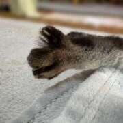 ヒメ日記 2025/06/20 11:36 投稿 あんり 北九州人妻倶楽部（三十路、四十路、五十路）