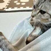 ヒメ日記 2025/06/20 15:07 投稿 あんり 北九州人妻倶楽部（三十路、四十路、五十路）