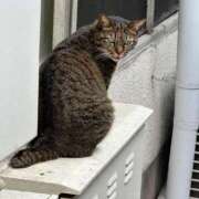 ヒメ日記 2025/06/21 07:32 投稿 あんり 北九州人妻倶楽部（三十路、四十路、五十路）