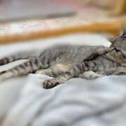 ヒメ日記 2025/06/21 15:01 投稿 あんり 北九州人妻倶楽部（三十路、四十路、五十路）