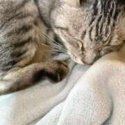 ヒメ日記 2025/06/22 15:03 投稿 あんり 北九州人妻倶楽部（三十路、四十路、五十路）