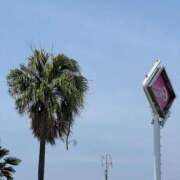 ヒメ日記 2025/07/02 13:01 投稿 あんり 北九州人妻倶楽部（三十路、四十路、五十路）