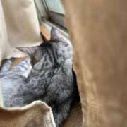 ヒメ日記 2025/07/02 15:06 投稿 あんり 北九州人妻倶楽部（三十路、四十路、五十路）