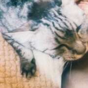 ヒメ日記 2025/07/04 13:55 投稿 あんり 北九州人妻倶楽部（三十路、四十路、五十路）