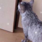 ヒメ日記 2025/07/04 14:18 投稿 あんり 北九州人妻倶楽部（三十路、四十路、五十路）