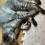 ヒメ日記 2025/07/05 08:03 投稿 あんり 北九州人妻倶楽部（三十路、四十路、五十路）