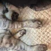 ヒメ日記 2025/07/05 15:02 投稿 あんり 北九州人妻倶楽部（三十路、四十路、五十路）