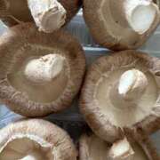 ヒメ日記 2025/07/07 12:59 投稿 あんり 北九州人妻倶楽部（三十路、四十路、五十路）