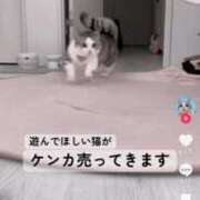 ヒメ日記 2025/07/08 17:48 投稿 あんり 北九州人妻倶楽部（三十路、四十路、五十路）