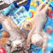 ヒメ日記 2025/07/09 09:25 投稿 あんり 北九州人妻倶楽部（三十路、四十路、五十路）