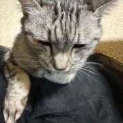 ヒメ日記 2025/07/18 19:59 投稿 あんり 北九州人妻倶楽部（三十路、四十路、五十路）