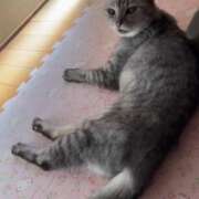 ヒメ日記 2025/07/23 15:03 投稿 あんり 北九州人妻倶楽部（三十路、四十路、五十路）