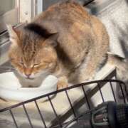 ヒメ日記 2025/07/28 08:03 投稿 あんり 北九州人妻倶楽部（三十路、四十路、五十路）