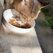 ヒメ日記 2025/07/28 12:07 投稿 あんり 北九州人妻倶楽部（三十路、四十路、五十路）