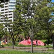 ヒメ日記 2025/07/28 19:05 投稿 あんり 北九州人妻倶楽部（三十路、四十路、五十路）