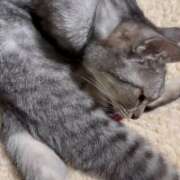 ヒメ日記 2025/07/30 10:52 投稿 あんり 北九州人妻倶楽部（三十路、四十路、五十路）