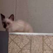 ヒメ日記 2025/07/30 15:04 投稿 あんり 北九州人妻倶楽部（三十路、四十路、五十路）