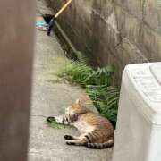 ヒメ日記 2025/08/02 08:10 投稿 あんり 北九州人妻倶楽部（三十路、四十路、五十路）