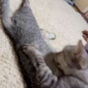 ヒメ日記 2025/08/02 17:39 投稿 あんり 北九州人妻倶楽部（三十路、四十路、五十路）