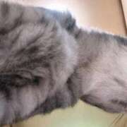 ヒメ日記 2025/08/03 08:02 投稿 あんり 北九州人妻倶楽部（三十路、四十路、五十路）